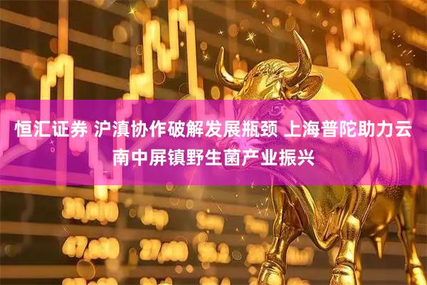 恒汇证券 沪滇协作破解发展瓶颈 上海普陀助力云南中屏镇野生菌产业振兴