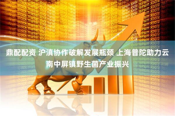鼎配配资 沪滇协作破解发展瓶颈 上海普陀助力云南中屏镇野生菌产业振兴