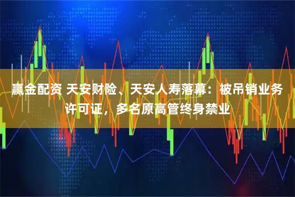 赢金配资 天安财险、天安人寿落幕：被吊销业务许可证，多名原高管终身禁业