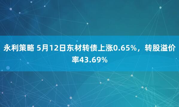 永利策略 5月12日东材转债上涨0.65%，转股溢价率43.69%