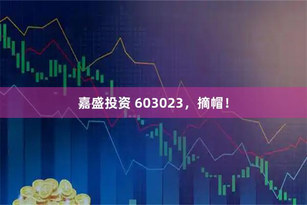 嘉盛投资 603023，摘帽！