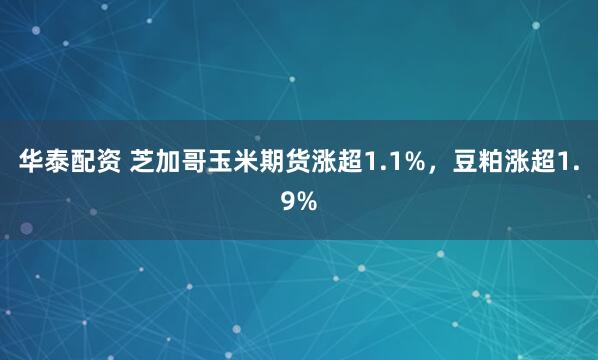 华泰配资 芝加哥玉米期货涨超1.1%，豆粕涨超1.9%