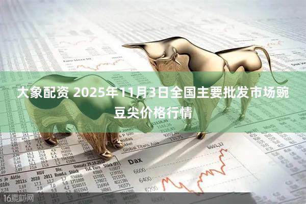 大象配资 2025年11月3日全国主要批发市场豌豆尖价格行情