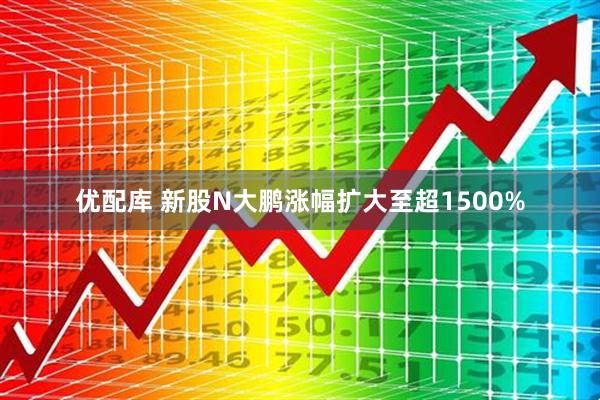 优配库 新股N大鹏涨幅扩大至超1500%