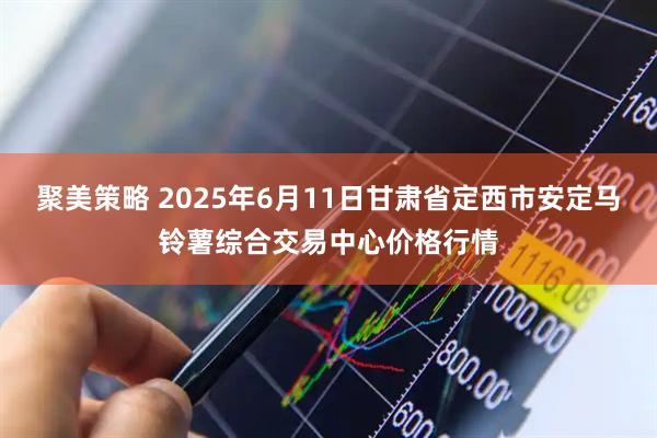 聚美策略 2025年6月11日甘肃省定西市安定马铃薯综合交易中心价格行情