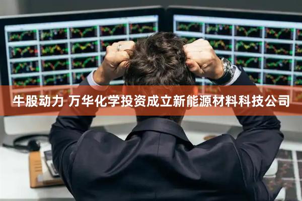 牛股动力 万华化学投资成立新能源材料科技公司