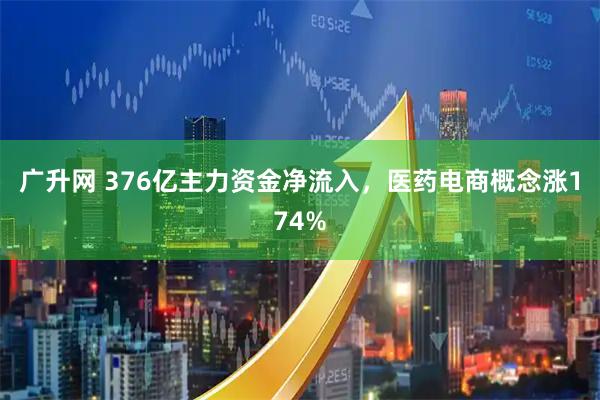 广升网 376亿主力资金净流入，医药电商概念涨174%